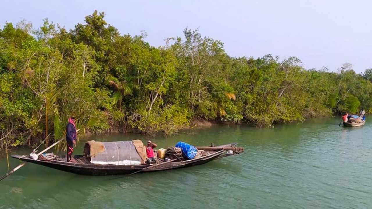 তিন মাস পর আজ খুলছে সুন্দরবনের দুয়ার