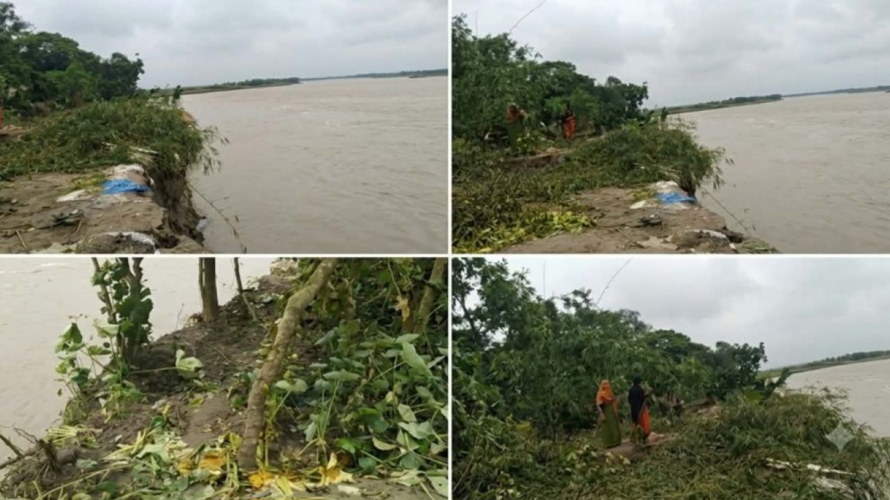 পদ্মায় ৩৫ ঘর বিলীন, হুমকিতে শতাধিক পরিবার