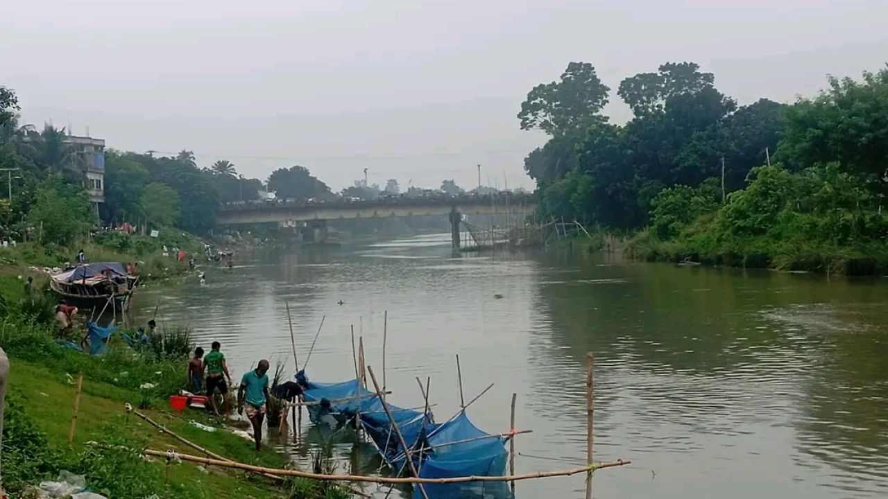 বারনই নদীতে মাছের মিছিল, রহস্য ঘিরে চাঞ্চল্য