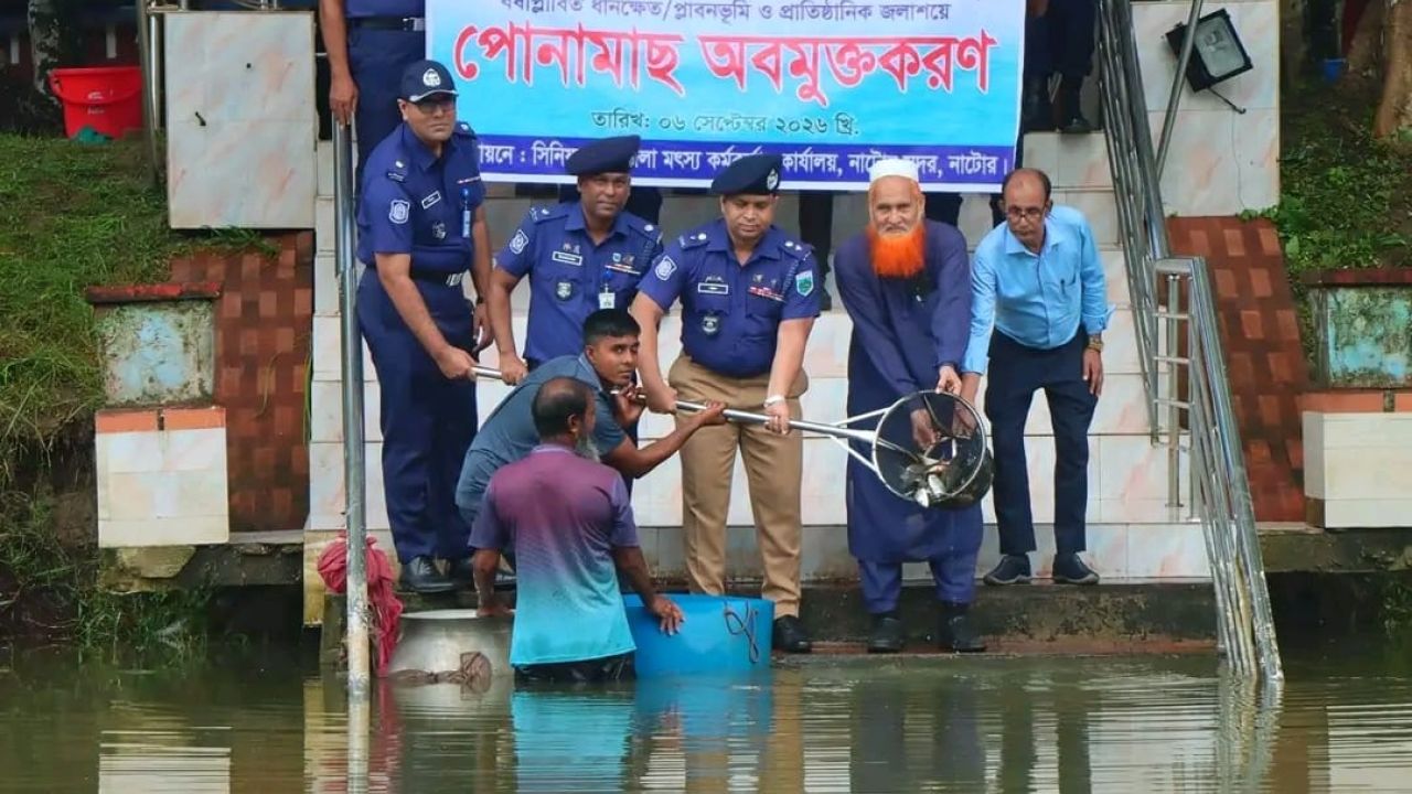 নাটোর পুলিশ লাইন্স পুকুরে মাছের পোনা অবমুক্ত