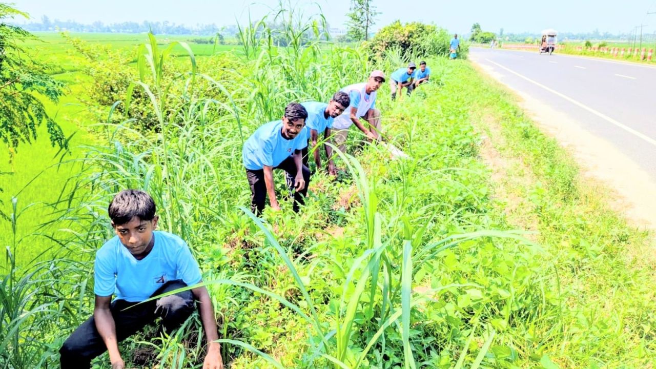 বজ্রপাত রোধ ও পরিবেশের ভারসাম্য রক্ষায় ধুনট-শেরপুর সড়কে ২০ হাজার তালবীজ রোপণ