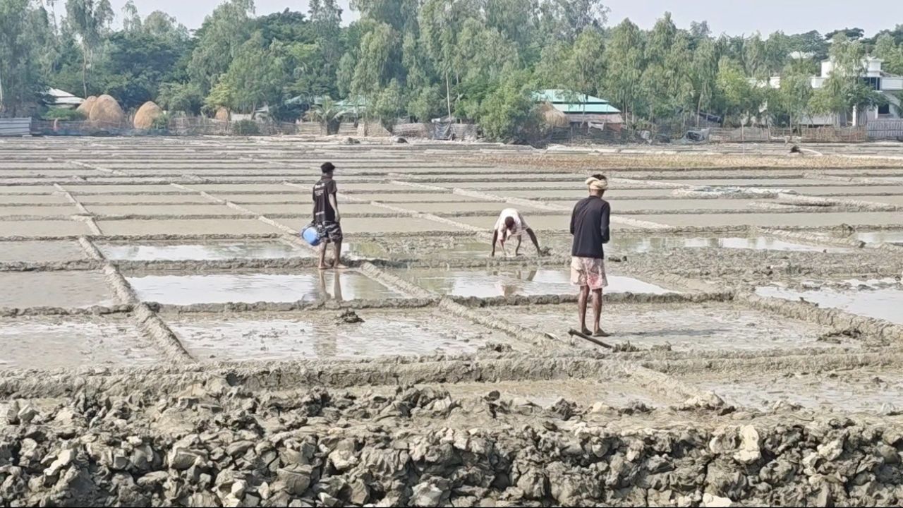লবণের ন্যূনতম মূল্য প্রতিমণ ৪২৫ টাকা নির্ধারণ