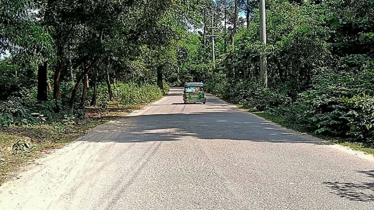 কক্সবাজারে দিনে চলতেও ভয় সন্ধ্যা নামলেই এই সড়কে বন্ধ হয়ে যায় যান চলাচল
